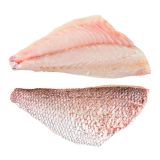 Skin On Pinbone Out Wild Madai Snapper Filets